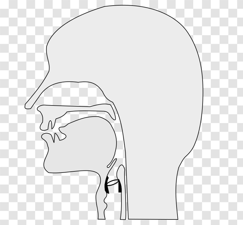 Head And Neck Cancer Homo Sapiens Arm Human Body - Frame - Vocal Transparent PNG