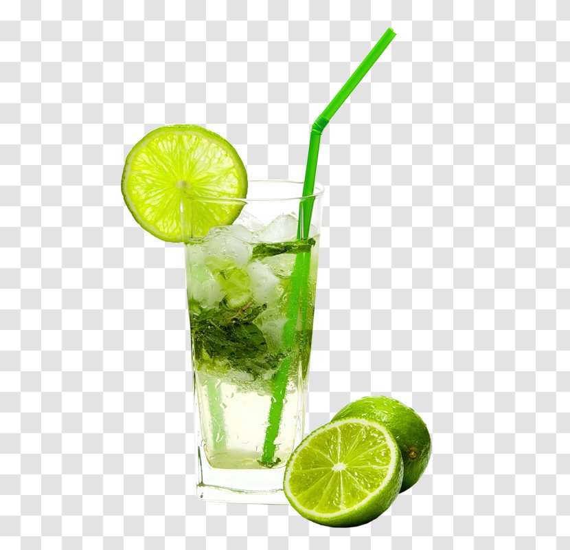 Mojito Fizzy Drinks Juice Cocktail Rum - Citrus Transparent PNG