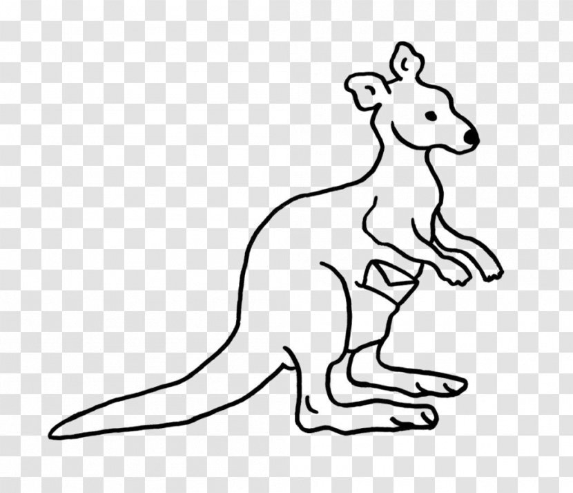 Kangaroo Macropodidae Whiskers Canidae Dog - Wildlife Transparent PNG