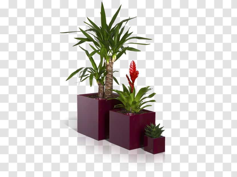 Flowerpot Garden Вазон - Tree - Small Potted Plants Transparent PNG