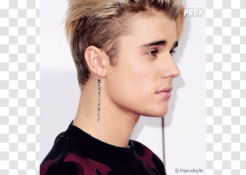 Justin Bieber Hairstyle Long Hair Fashion - Tree Transparent PNG