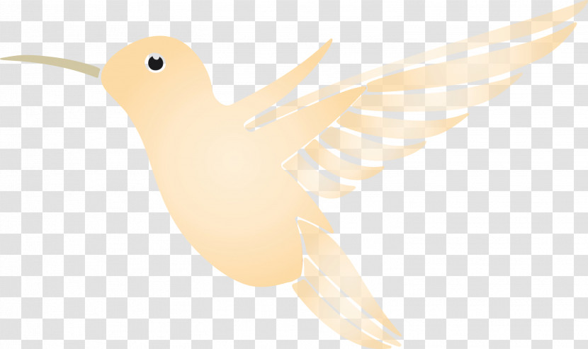 Hummingbird Transparent PNG