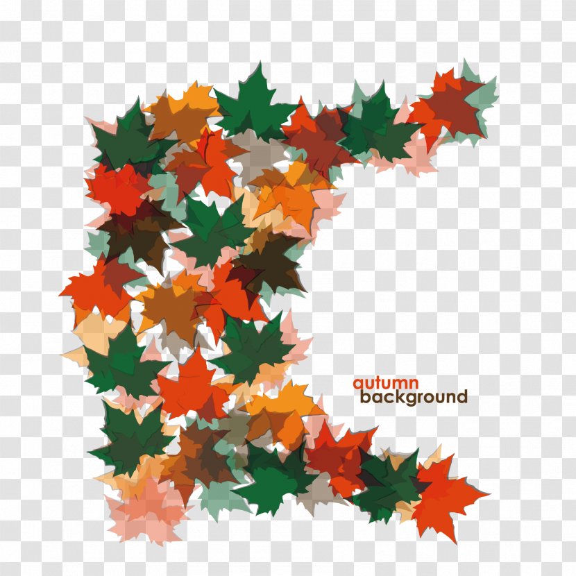 Maple Leaf Euclidean Vector Clip Art - Colored Leaves Transparent PNG