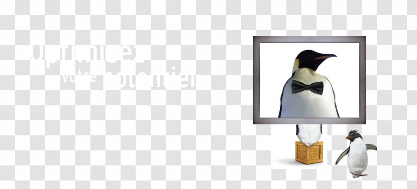 Penguin Beak - Lamp Transparent PNG