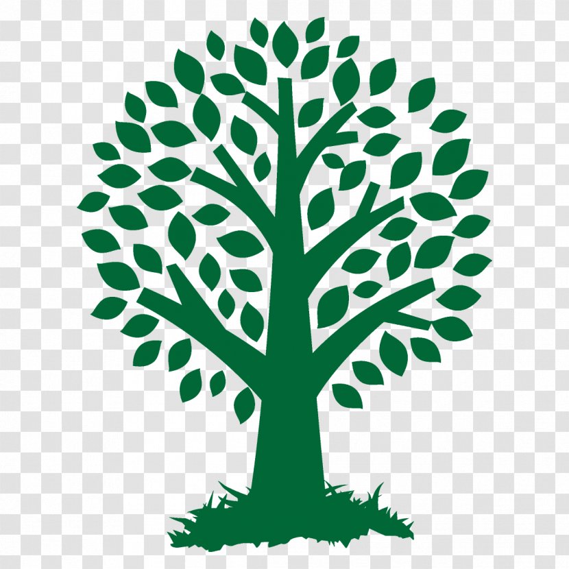 Leaf Green Tree Plant Line - Cartoon - Stencil Stem Transparent PNG