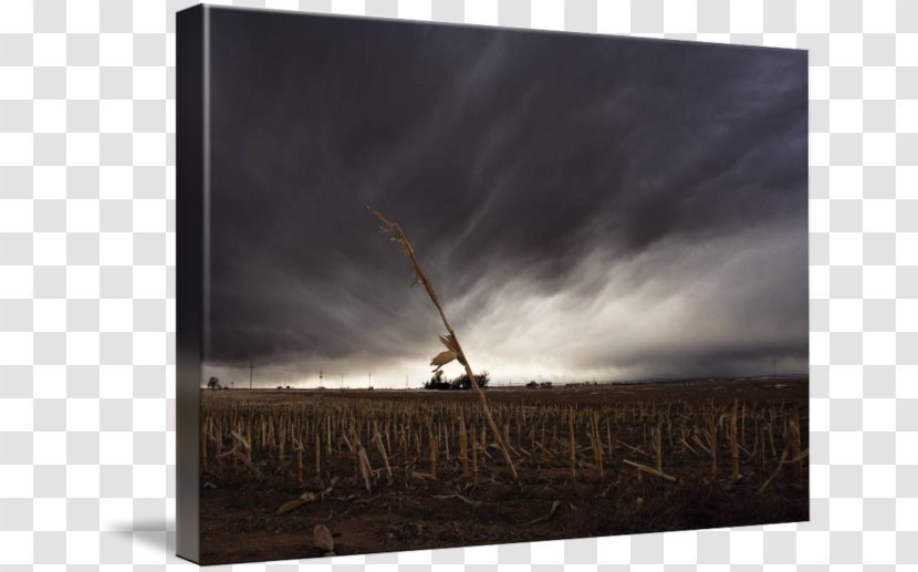 Picture Frames Gallery Wrap Canvas Energy Photography Transparent PNG