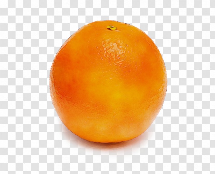 Orange - Citrus - Grapefruit Kumquat Transparent PNG