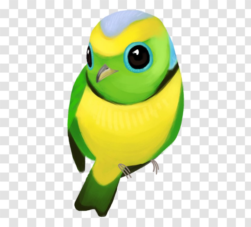 Parakeet Beak Pet - Green Transparent PNG