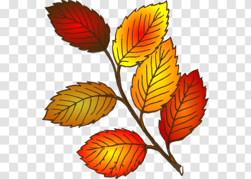 Autumn Leaf Color Clip Art - Blog - Cliparts Transparent PNG