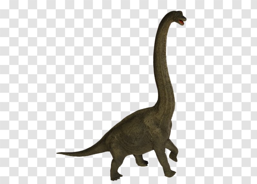 Velociraptor Cygnini Goose Duck Anatidae - Terrestrial Animal Transparent PNG