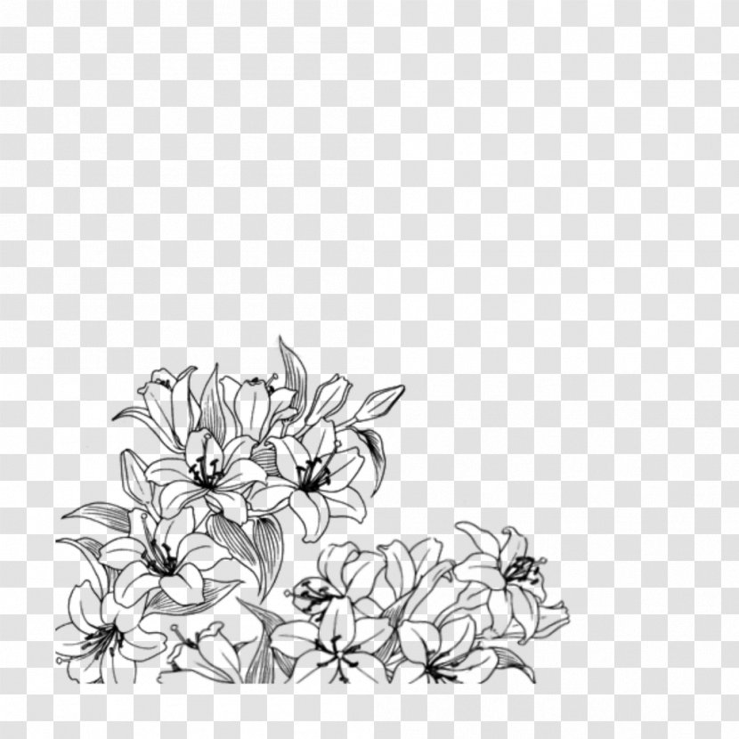 Line Art Flower Plant Drawing Coloring Book - Petal - Wildflower Transparent PNG