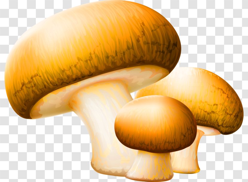 Mushroom Clip Art - Ingredient - Cartoon Simple Decoration Pattern Transparent PNG