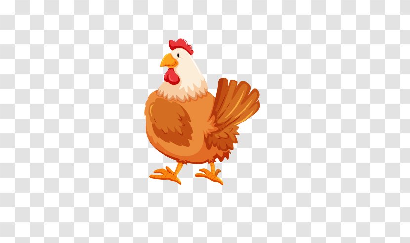 Chicken Rooster Cartoon - Poultry Transparent PNG