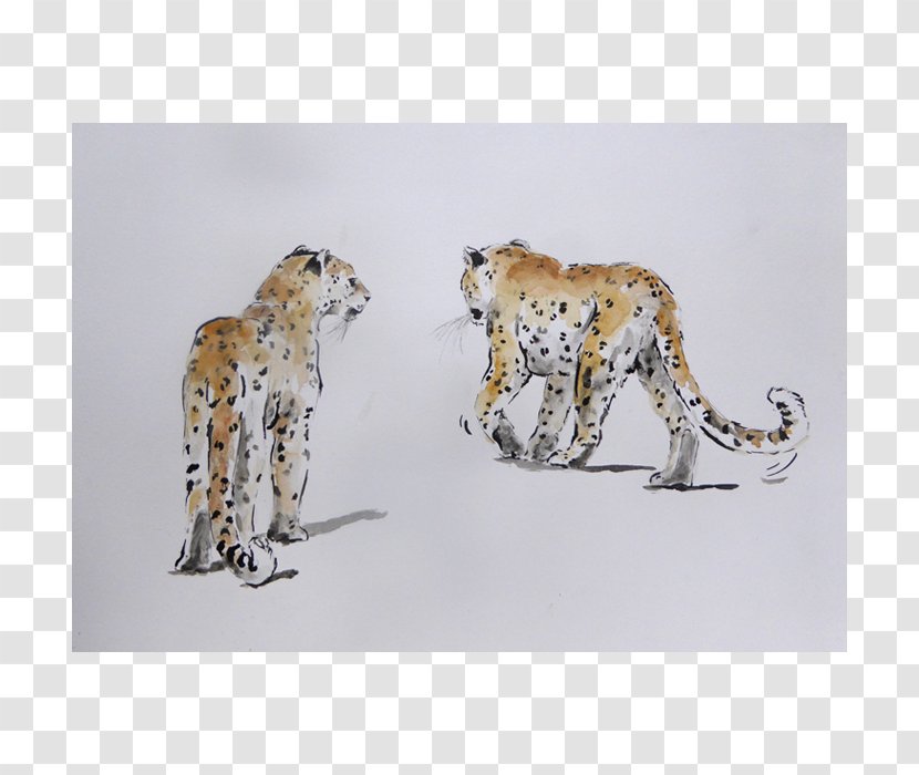 Cheetah Leopard Big Cat Terrestrial Animal Transparent PNG