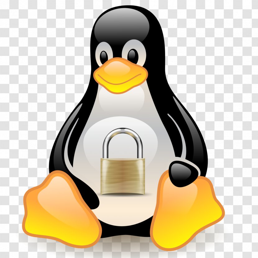 Tux Racer Linux Distribution Penguin - Flightless Bird - Secure Transparent PNG