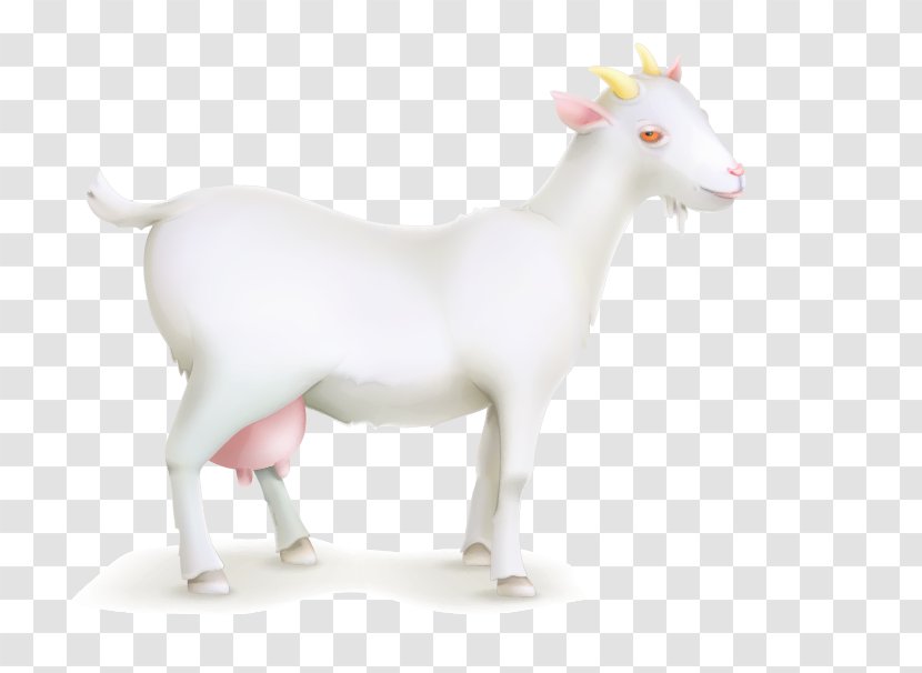 Sheep Goat Livestock - Antelope Transparent PNG