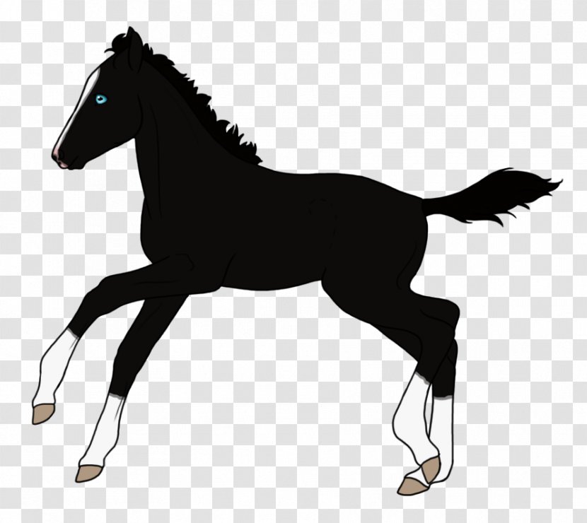 Mare Arabian Horse Foal Stallion Mustang - Mane Transparent PNG