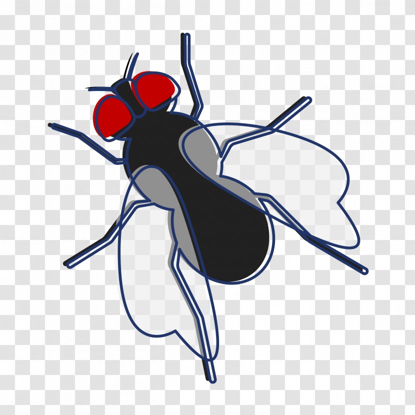 Trachoma Fly Blindness Clip Art Eye - Wing - What Can I Help You With Transparent PNG