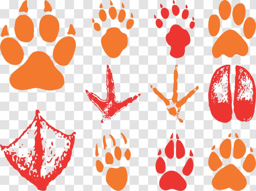 Animal Track Footprint Bear Clip Art - Cat - Vector Footprints Transparent PNG