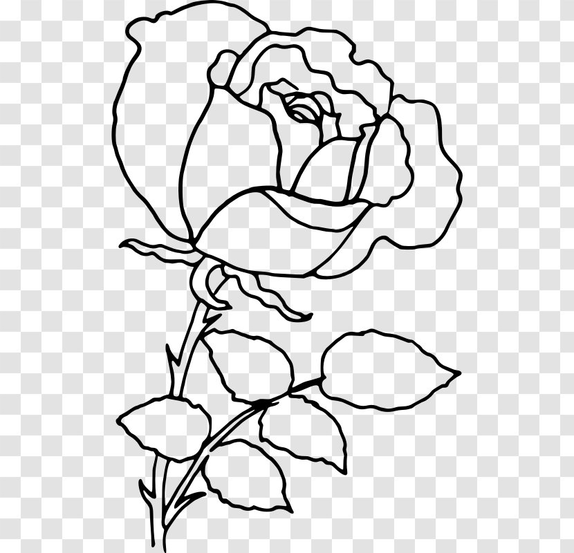 Rose Drawing Clip Art - Flora - Based Line Transparent PNG