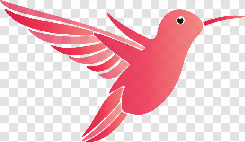 Hummingbird Transparent PNG