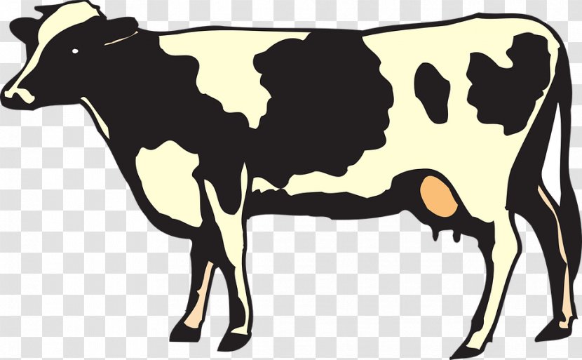 Cow Background - Bull - Animal Figure Transparent PNG