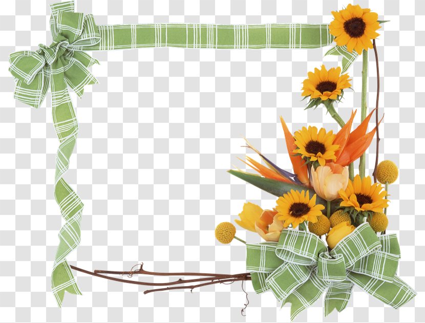 Common Sunflower Picture Frames Paper - Yellow - Flower Transparent PNG