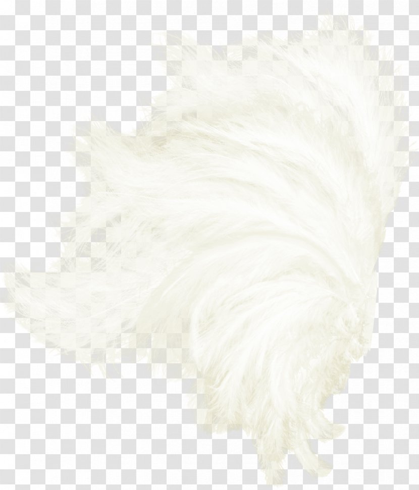 Fur Textile Pattern - Beautiful Decorative Wings Transparent PNG