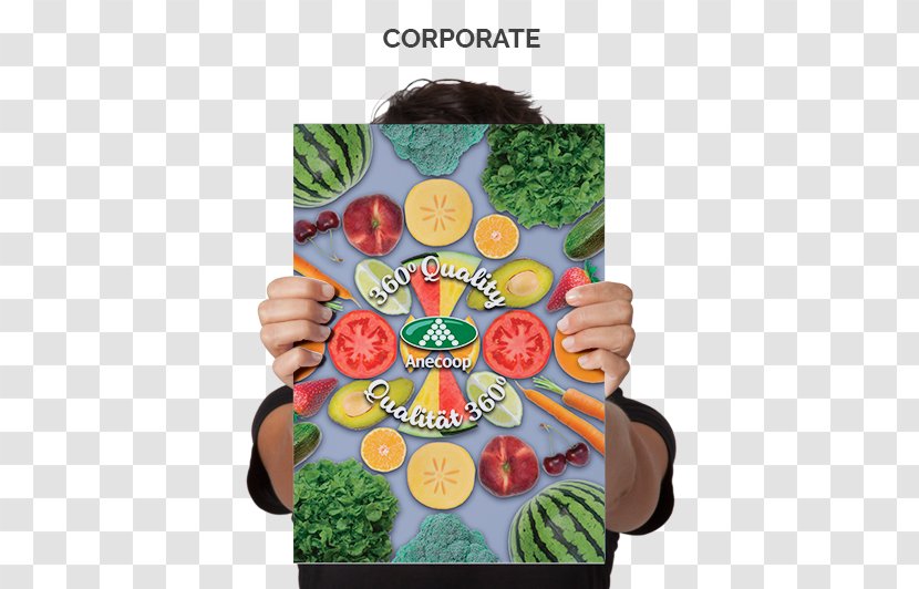 Anecoop S. Coop Cooperative Sandiás Poland - Corporate Flyer Transparent PNG