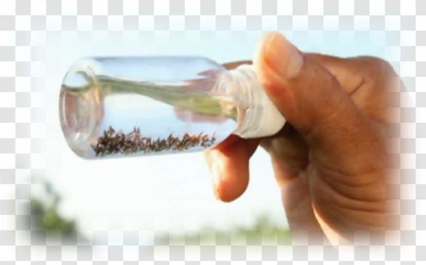 Bottle Water Finger Drink - Drinkware Transparent PNG