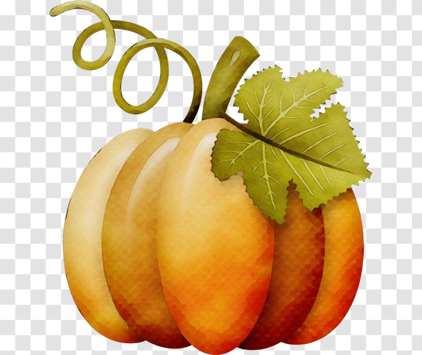 Autumn Watercolor - Tree - Food Transparent PNG