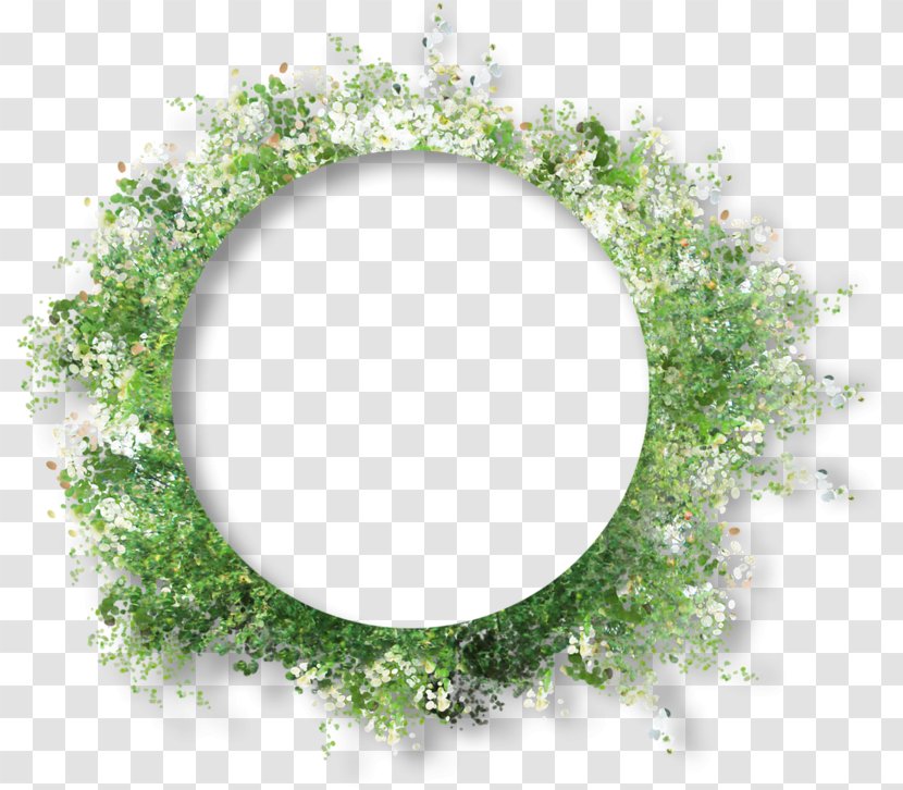 Image Picture Frames Food Clip Art Health - Tree - Amethyst Flower Ring Transparent PNG