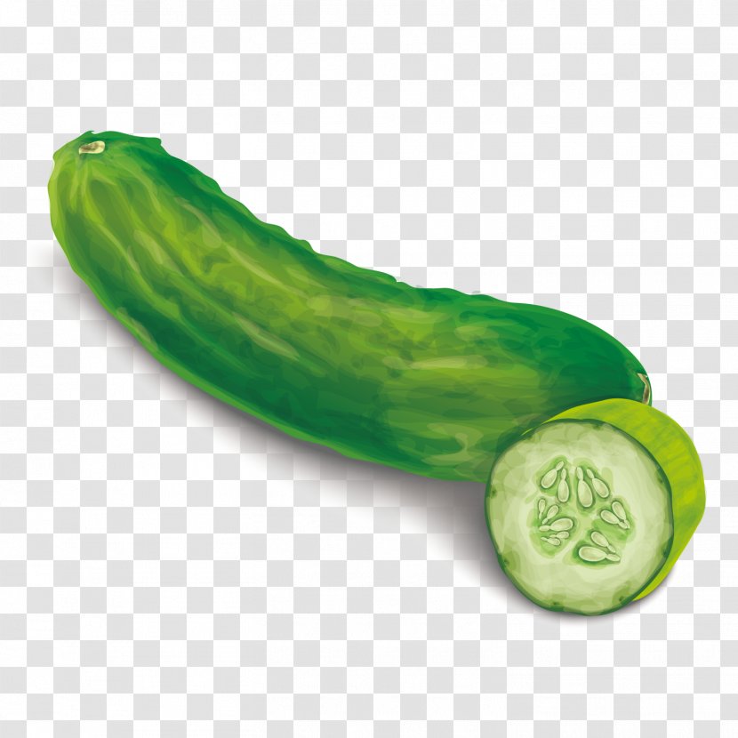Pickled Cucumber Food Euclidean Vector - Cucumis Transparent PNG