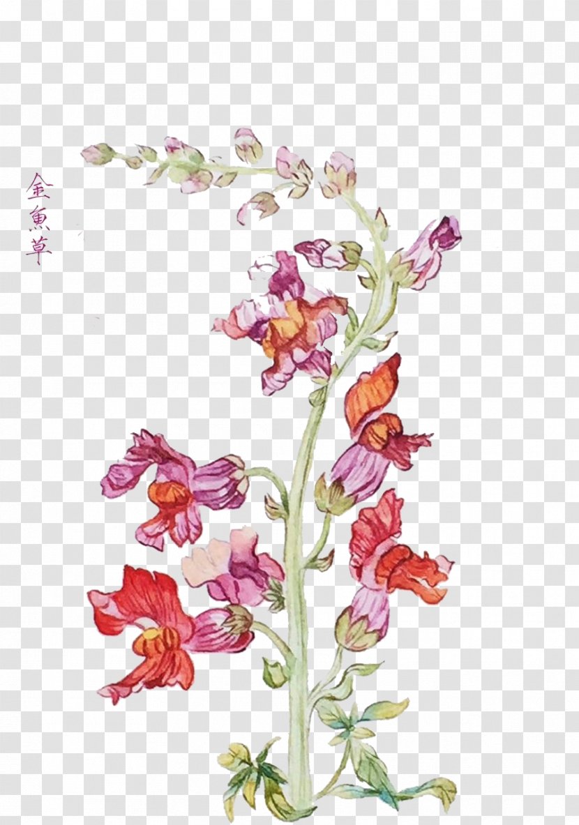 Floral Design Download - Cut Flowers - Hand-painted Goldfish Grass Transparent PNG