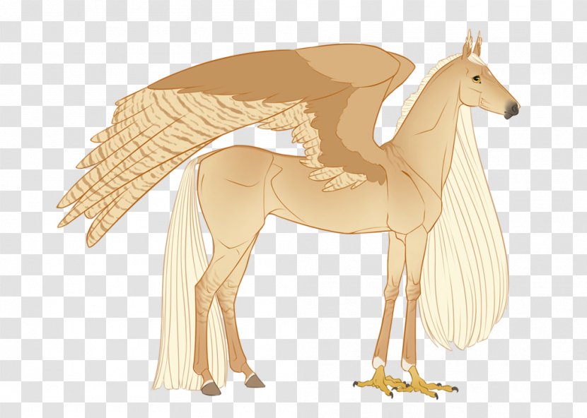 Mustang Pony Pack Animal Mammal - Hen Transparent PNG
