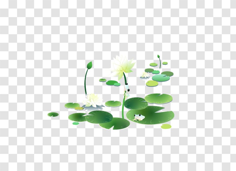 Sacred Lotus Image Design Clip Art - Painting - Plant Transparent PNG
