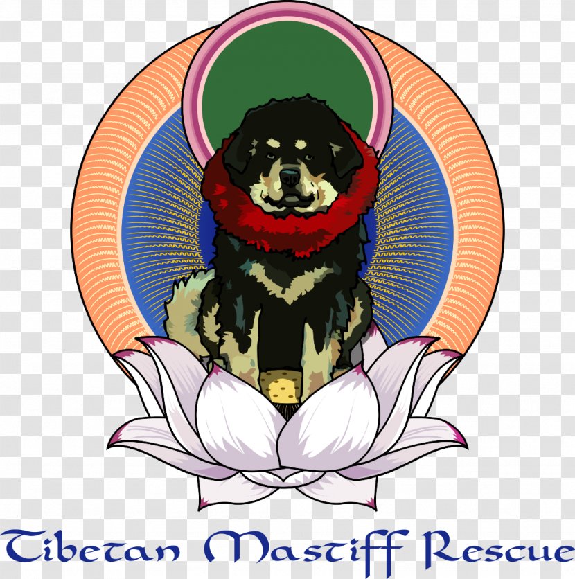 English Mastiff Tibetan Puggle Animal Rescue Group Puppy - Canidae Transparent PNG