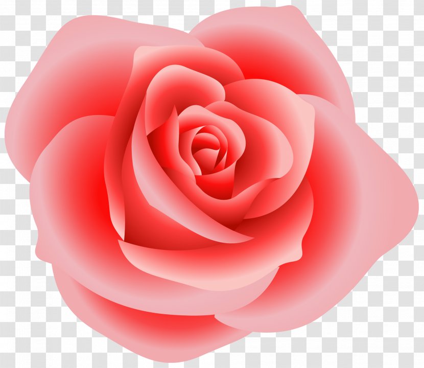 Rose Clip Art - Valentine S Day - Large Red Clipart Transparent PNG