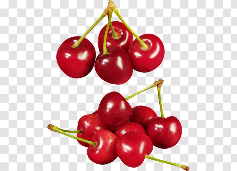 Sweet Cherry Cerasus Berry - Malpighia Glabra Transparent PNG