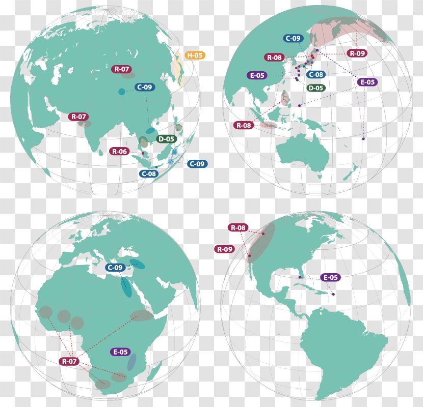 World Map Globe Vector Graphics - Phpthumb Transparent PNG