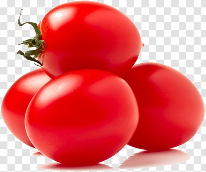 Plum Tomato Bush Baked Beans Italian Cuisine Cherry - Plant - Salse Transparent PNG