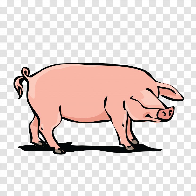 Domestic Pig Pork Clip Art - Photography - Boar Transparent PNG
