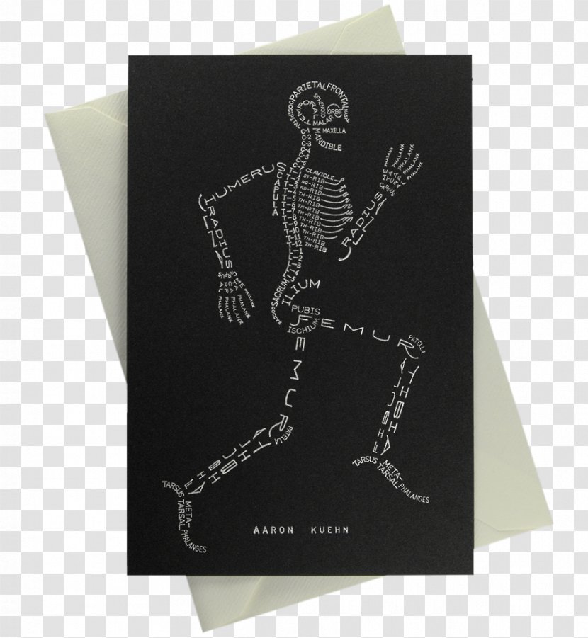 Human Skeleton Body Bone Typography - Humerus Transparent PNG