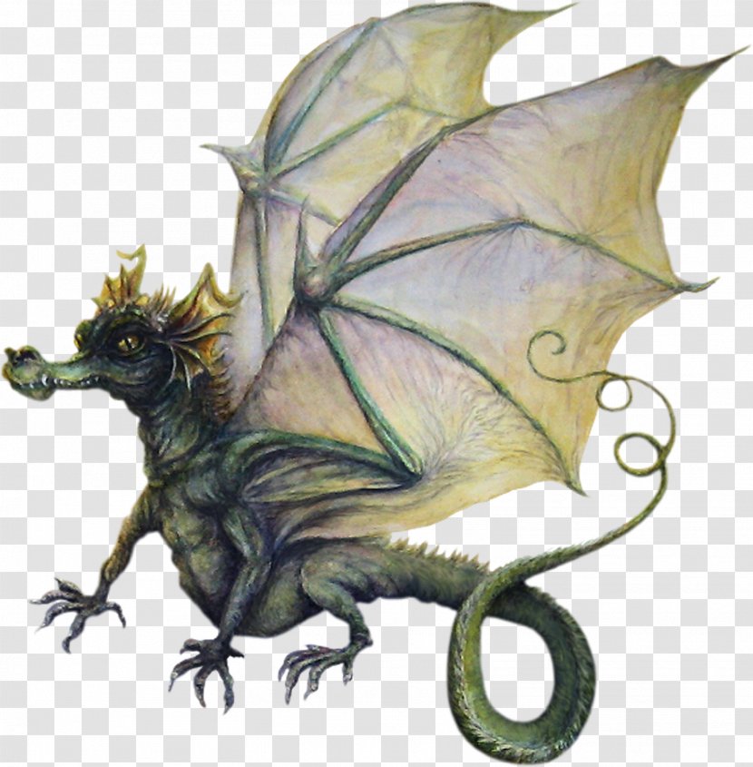 Organism - Dragon - Baby Dragons Pictures Transparent PNG
