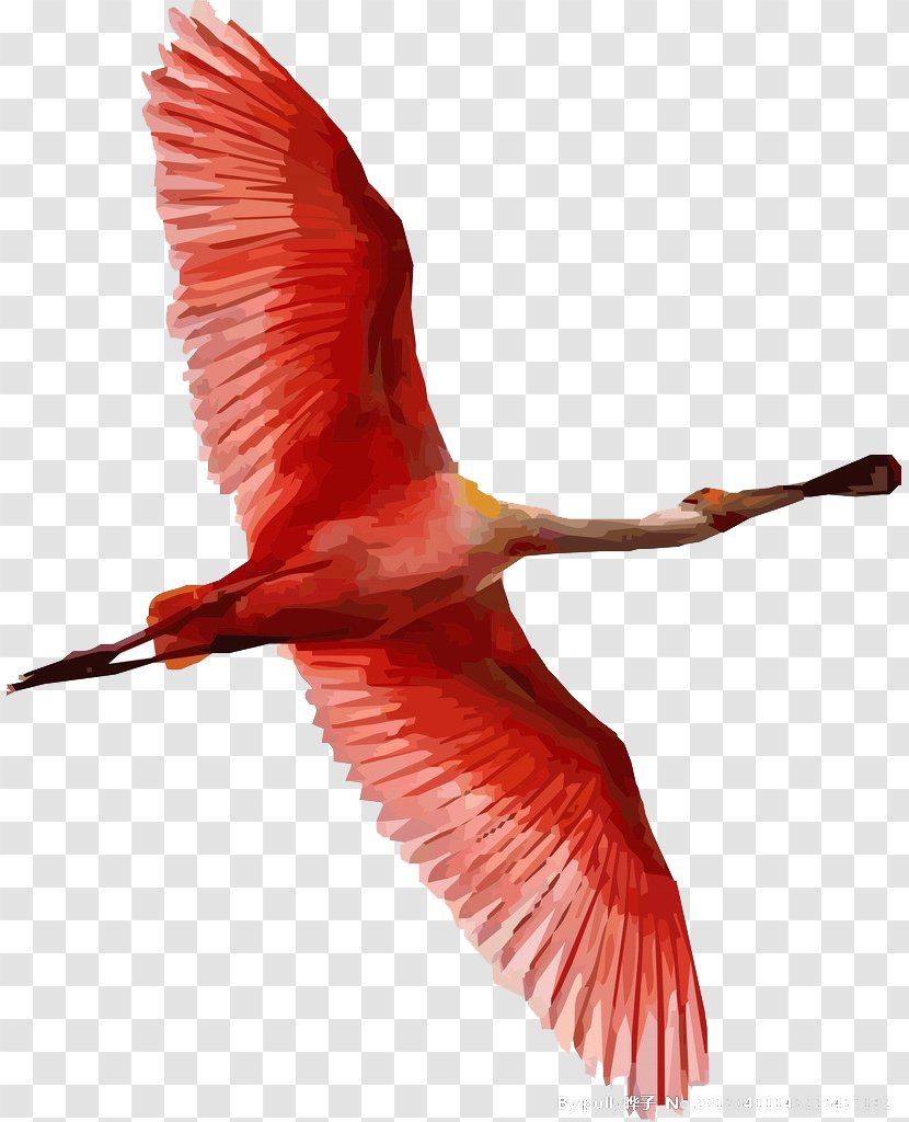Bird Flamingos Painting - Water - Flying Transparent PNG