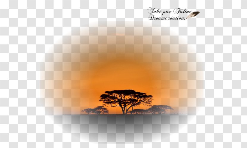 Création Graphique Savana Faline Desktop Wallpaper PSP - Sunset Dreams Transparent PNG