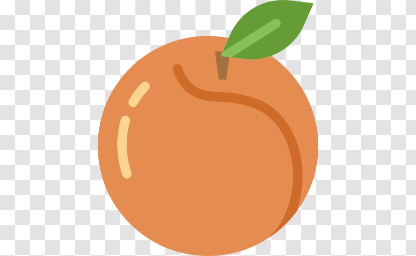 Food Fruit - Peach Vector Transparent PNG