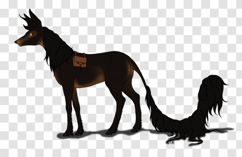 Logo Dog Coasters Pony - Horse - Hind Transparent PNG