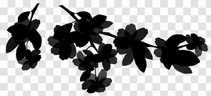 Line Font Silhouette Leaf Black M - Tree - Botany Transparent PNG
