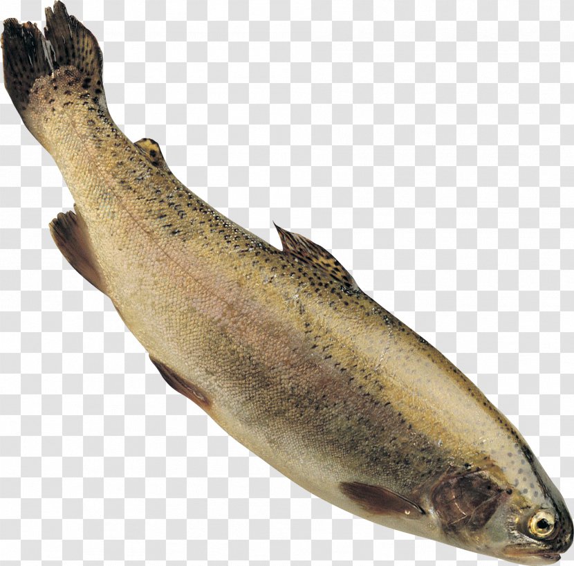 Rainbow Trout Fish And Chips Stream - Cod Transparent PNG